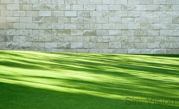 wallgrassgetty