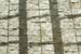 rockwallgetty
