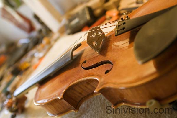 violincloseup2